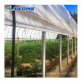 Fully Automatic Industrial Hemp Light Deprivation Greenhouse